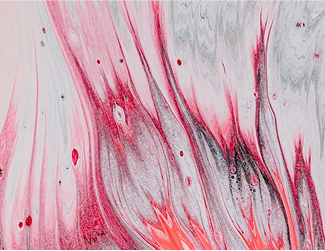 In Her Plaful New York, Camille Henrot Quesions Everything